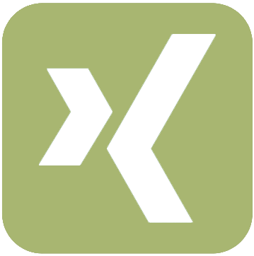 This picture shows the logo of Xing